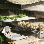 Urban Cactus