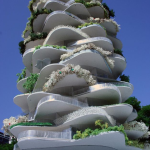 Urban Cactus