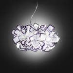 Clizia SLAMP