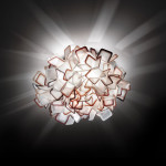 Clizia SLAMP
