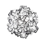 Clizia SLAMP