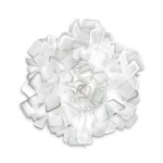 Clizia SLAMP