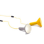 Torch Light Established & Sons