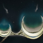 Organic Cities Luca Curci Architects