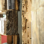 Il Briccolone Riva 1920